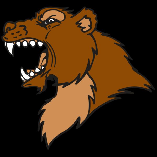 AR BEAR 22 RC Thumbnail