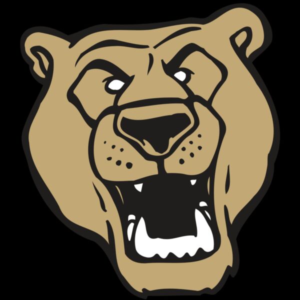 AR BEAR 13 RC Thumbnail