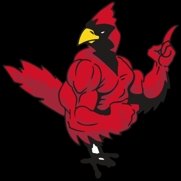 AR CARDINAL 27 RC Thumbnail