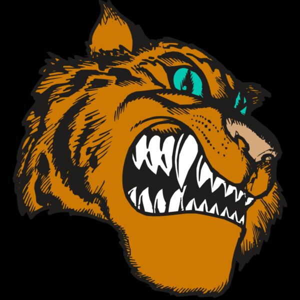 BAW TIGER 11 RC Thumbnail