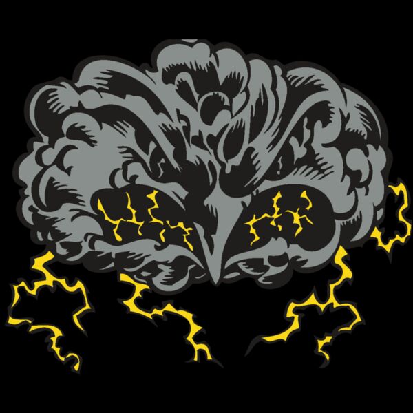 BAW STORM 11 RC Thumbnail