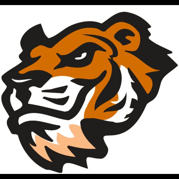 AR TIGER 21 RC Thumbnail