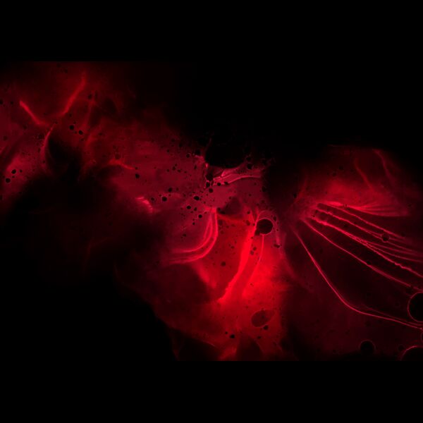 dark red hand painted alcohol ink background 1901 Thumbnail