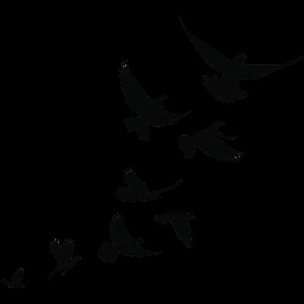doves group flying clipart Thumbnail