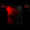 100-XLARGE ADULT Thumbnail