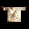 100-2XLARGE ADULT Thumbnail