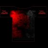 100-2XLARGE ADULT Thumbnail