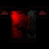 100-4XLARGE ADULT Thumbnail