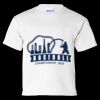 Ultra Cotton Youth T-Shirt Thumbnail