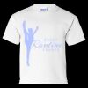 Ultra Cotton Youth T-Shirt Thumbnail